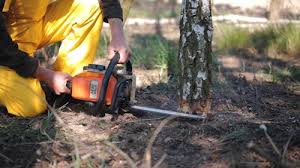Best Seasonal Cleanup (Spring/Fall)  in Meriden, CT