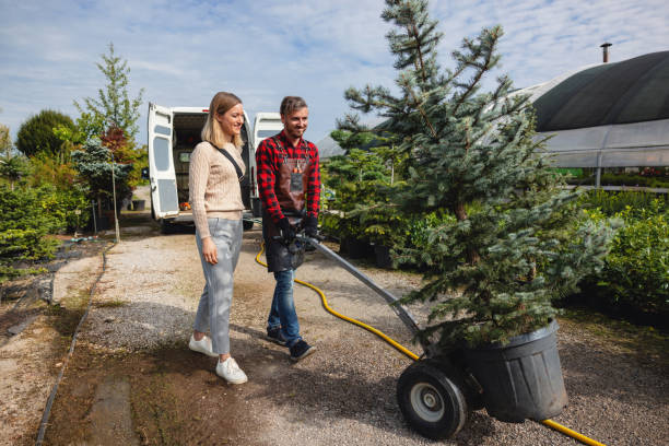 Best Lawn Drainage Solutions  in Meriden, CT